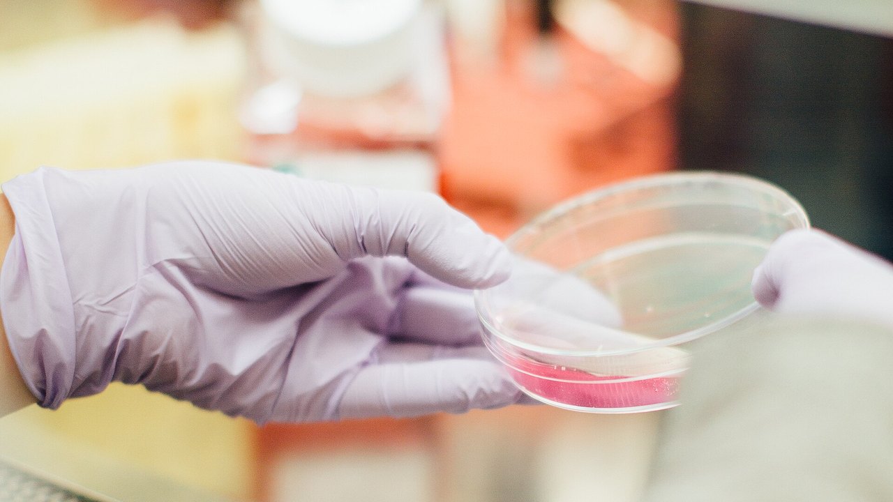 Meridian Health acquires Pathset in first UK diagnostics deal